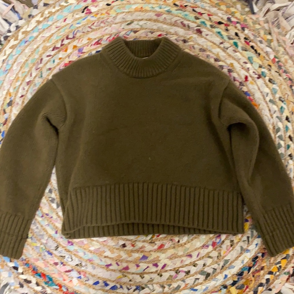 Olive green Everlane medium sweater.